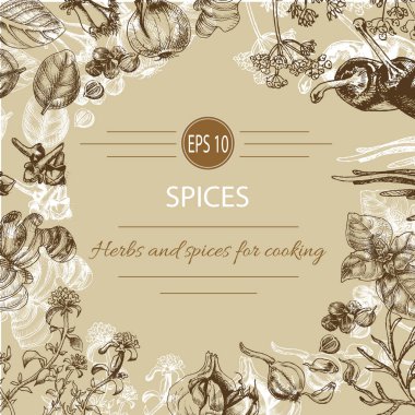 Vektör arka plan - baharatlar, bitkiler, sebze.
