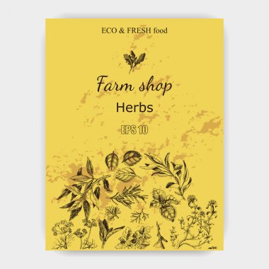 Vektör arka plan kroki otlar. Otlar - defne yaprağı, dere otu, kekik, adaçayı, biberiye, fesleğen, maydanoz, roka.