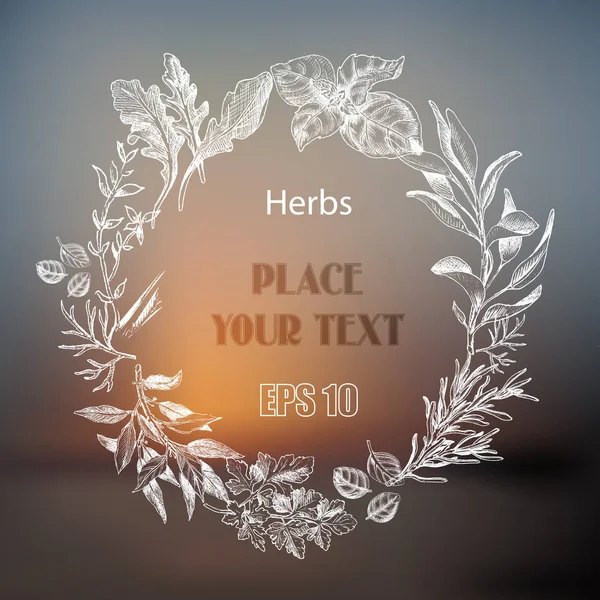 Vector background sketch herbs. Herbs - Bay leaf, dill, thyme, sage, rosemary, Basil, parsley, arugula. — Stock Vector