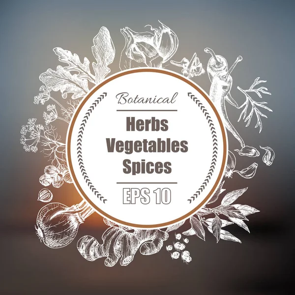 Fondo vectorial - especias, hierbas, verduras . — Archivo Imágenes Vectoriales