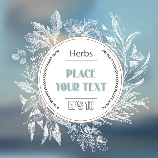 Vektör arka plan kroki otlar. Otlar - defne yaprağı, dere otu, kekik, adaçayı, biberiye, fesleğen, maydanoz, roka.