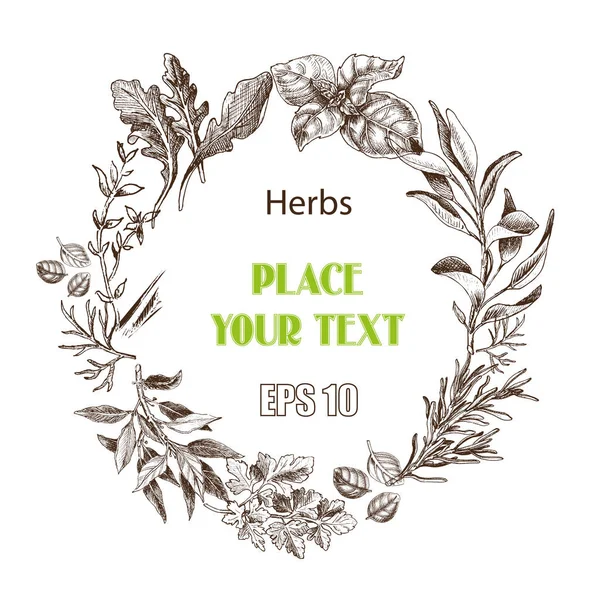 Fond vectoriel croquis herbes. Herbes - feuille de laurier, aneth, thym, sauge, romarin, basilic, persil, roquette . — Image vectorielle