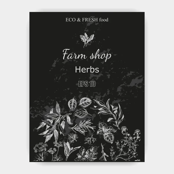 Vektör arka plan kroki otlar. Otlar - defne yaprağı, dere otu, kekik, adaçayı, biberiye, fesleğen, maydanoz, roka.