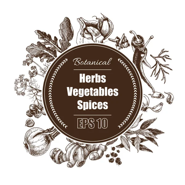 Vector bakgrund - kryddor, örter, grönsaker. — Stock vektor