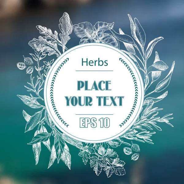 Vektör arka plan kroki otlar. Otlar - defne yaprağı, dere otu, kekik, adaçayı, biberiye, fesleğen, maydanoz, roka.