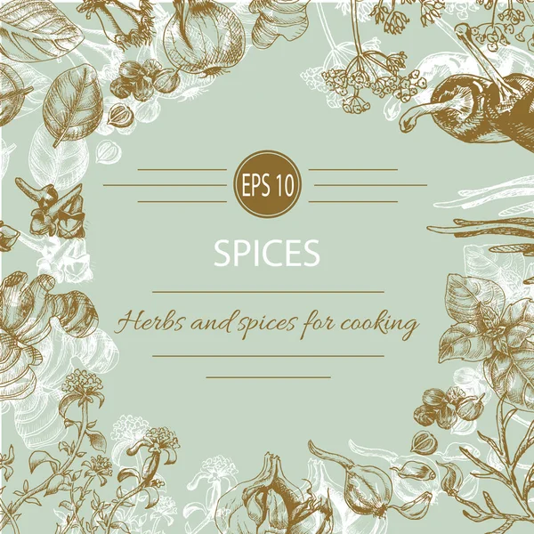 Vektör arka plan - baharatlar, bitkiler, sebze.