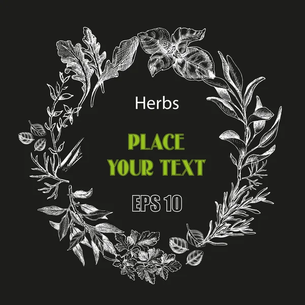 Vektör arka plan kroki otlar. Otlar - defne yaprağı, dere otu, kekik, adaçayı, biberiye, fesleğen, maydanoz, roka.