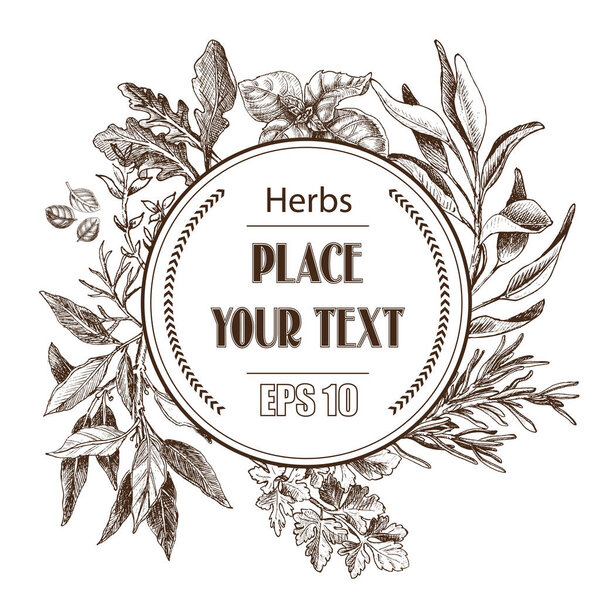 Травы для векторного наброска. Травы - листья залива, дилл, тимьян, Озил, Феллайни, Феллайл, Парсли, Аругула
.