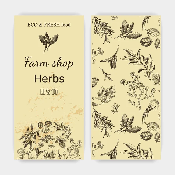 Vektör arka plan kroki otlar. Otlar - defne yaprağı, dere otu, kekik, adaçayı, biberiye, fesleğen, maydanoz, roka.