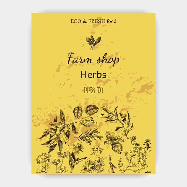 Vektör arka plan kroki otlar. Otlar - defne yaprağı, dere otu, kekik, adaçayı, biberiye, fesleğen, maydanoz, roka.