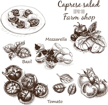 salata caprese yemek kartı taslağını