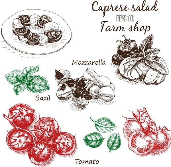 Sketch of salad caprese food card — Stock Vector