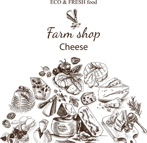 Esboço de cartão de comida de queijo —  Vetores de Stock