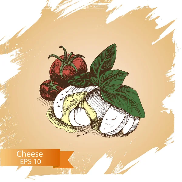 Schizzo di carta alimentare caprese insalata — Vettoriale Stock