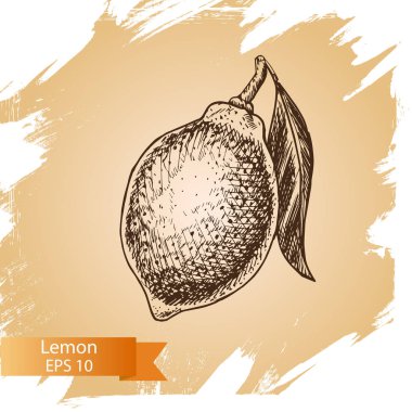 Narenciye meyve kartı 