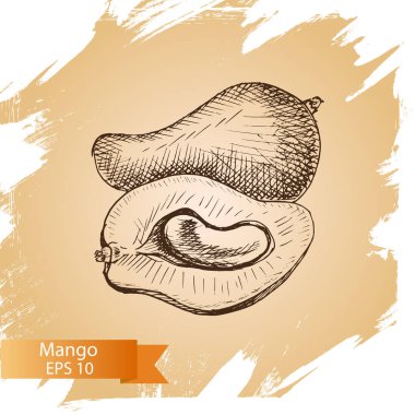 Mango meyve kartı 