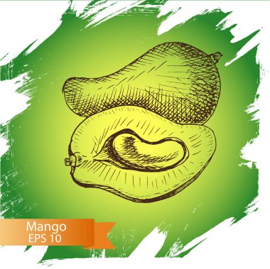Mango meyve kartı 