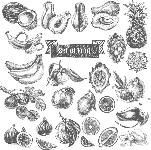 Disegno di frutta sfondo — Vettoriale Stock