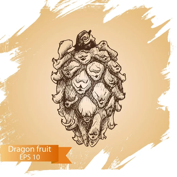 Tarjeta de fruta de dragón — Archivo Imágenes Vectoriales