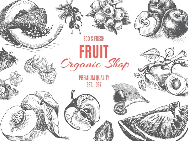 Disegno di frutta sfondo — Vettoriale Stock