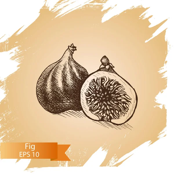 Fig fruit card — Stock Illustration Fig fruit card Stock Illustration