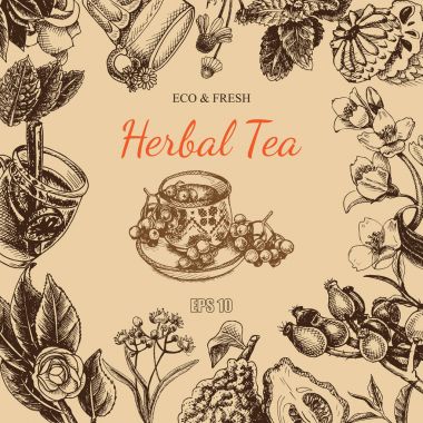 bitkisel çay kroki kartı