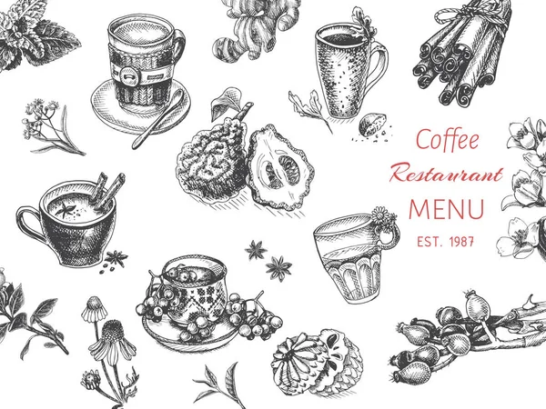 Carte croquis tisane — Image vectorielle