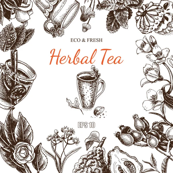 Травяной чай набросок карты — стоковый вектор