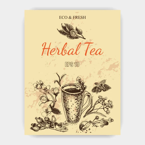 Травяной чай — стоковый вектор