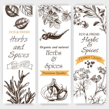 arka plan kroki otlar ve baharatlar. 