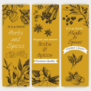 arka plan kroki otlar.