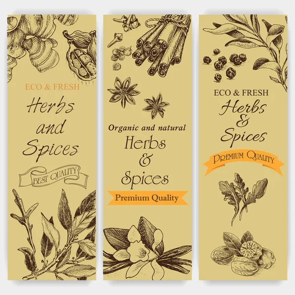 Background sketch herbs. — Stock Vector
