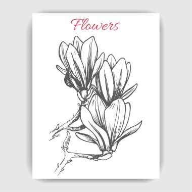 Çiçekler Manolya kartıyla