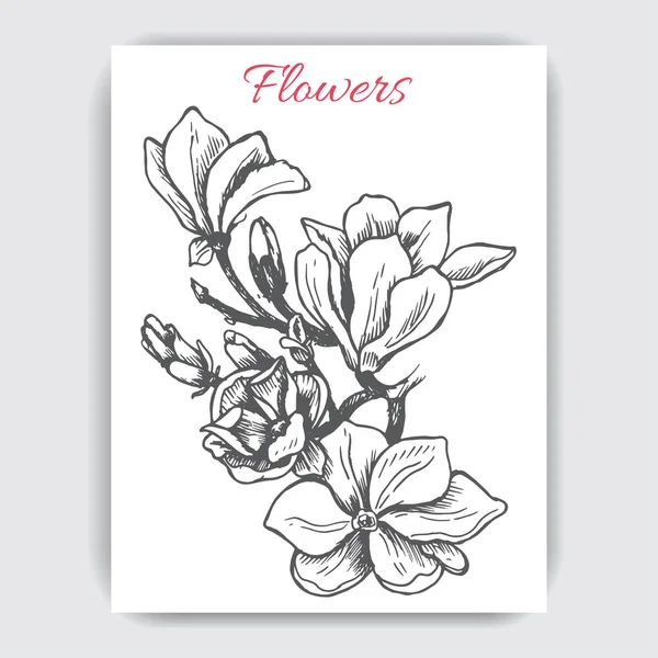 Carte avec fleurs magnolia — Image vectorielle