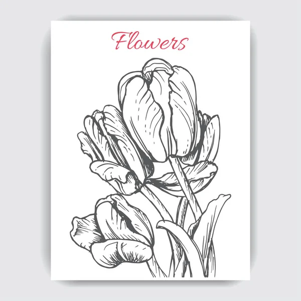 Karta s květy tulipánu — Stockový vektor