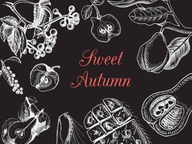 Tatlı sonbahar illüstrasyon