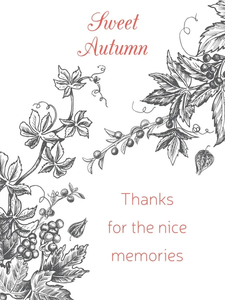 Vector illustratie schets herfst. Herfst briefkaart tuin takken van de sneeuwbal, pruimen, druiven, ashberry. — Stockvector