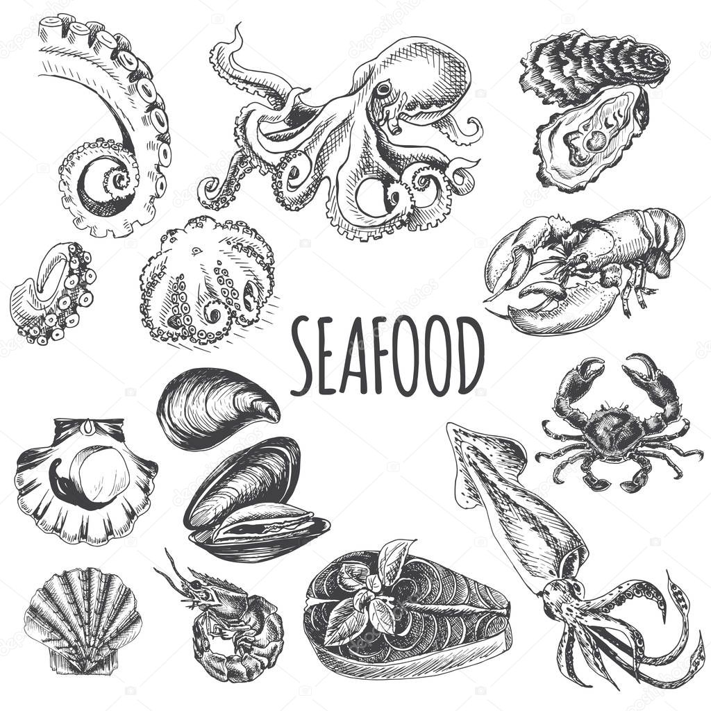Collection of monochrome sketches of seafood