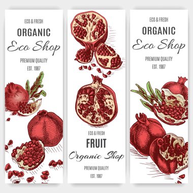 Kırmızı Nar ile dikey kart dizisini.