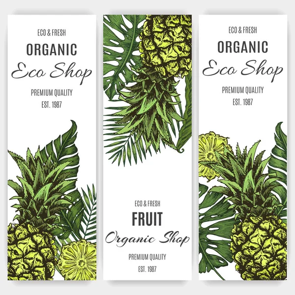 Pro Eco Obchod Ananasy Palmového Listí — Stockový vektor