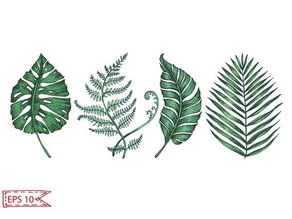 Nahtloses Muster Mit Palmblättern Auf Weißem Hintergrund — Stockvektor