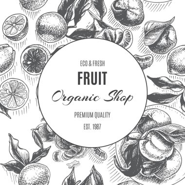 vektör çizim limon ve kroki kayısı, organik Dükkanı afiş ile yuvarlak çerçeve, siyah ve beyaz 