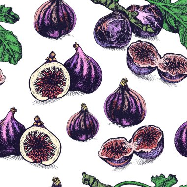 vektör el çekilmiş meyve deseni, kart incir ile