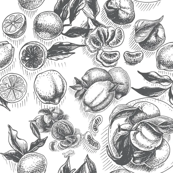 Ilustración Vectorial Boceto Limones Albaricoques Blanco Negro — Vector de stock