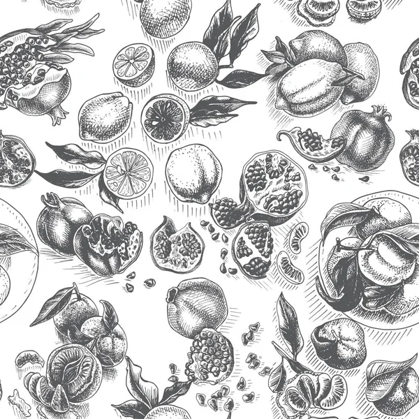 Ruční Kreslení Obrázku Skici Granátová Jablka — Stockový vektor