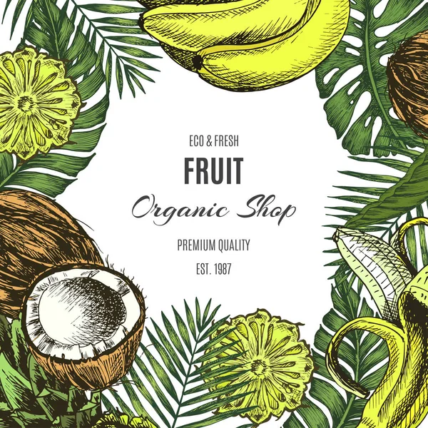 Banner Voor Eco Winkel Met Een Vectorillustratie Van Ananas Banaan — Stockvector