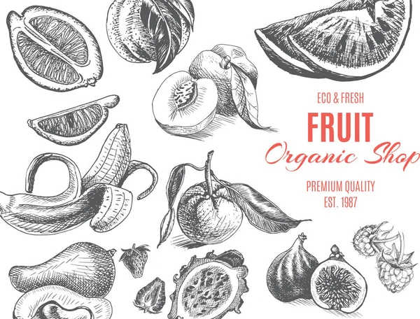 Loja Orgânica Fruta Desenho Banner — Vetor de Stock