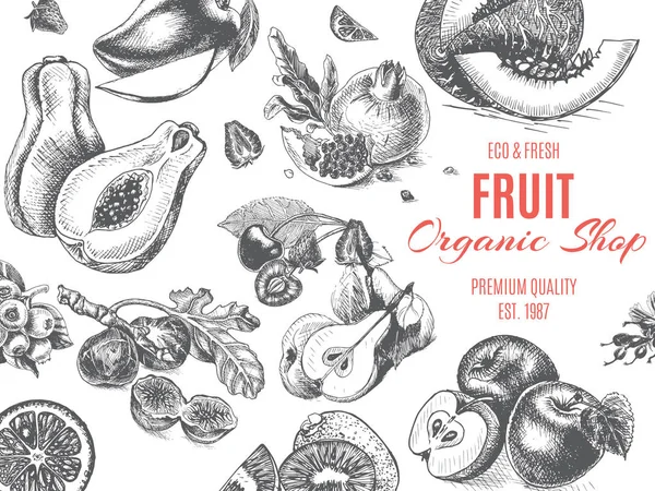Loja Orgânica Fruta Desenho Banner — Vetor de Stock