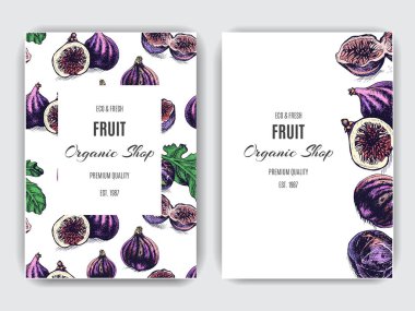 Elle çizilmiş meyve deseni. Kart incir ile. Vektör çizim