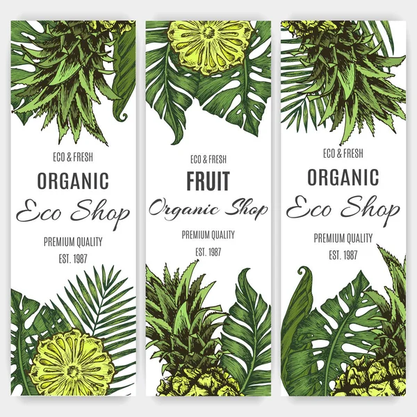 Kaart Voor Eco Winkel Met Ananas Palmbladeren Vectorillustratie — Stockvector